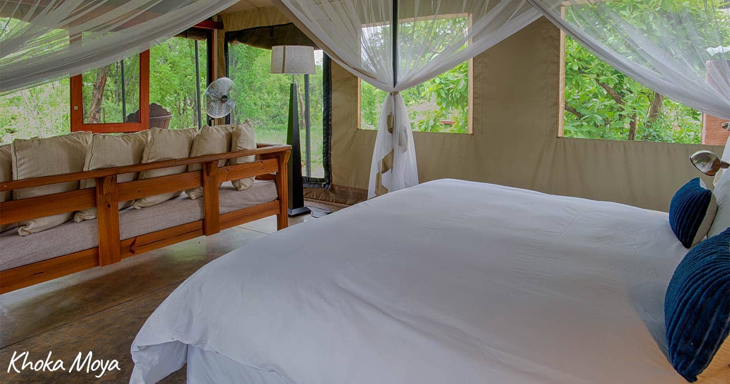 Enjoy a luxury safari in South Africa - Honeyguide Camps