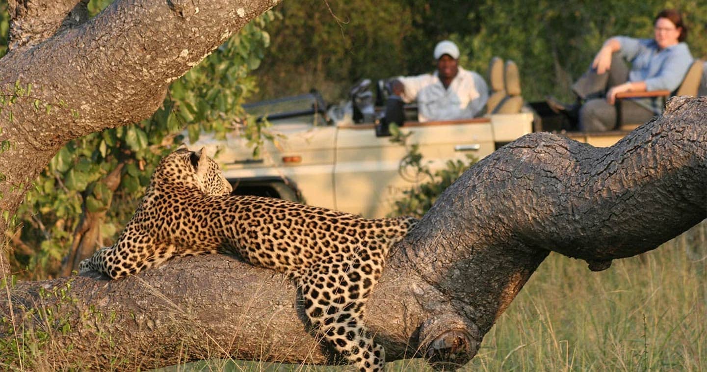 Tintswalo private game reserve