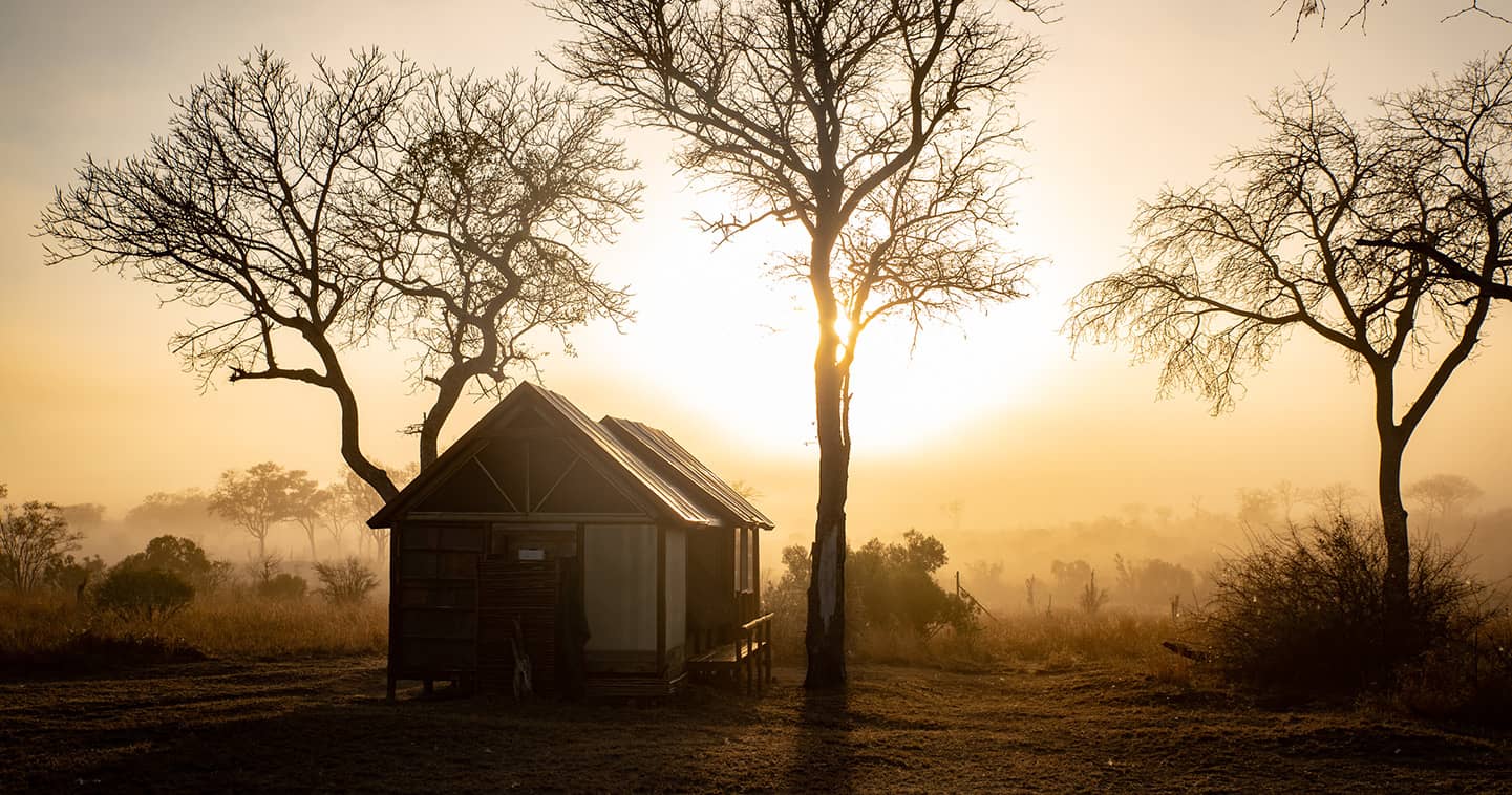 Buffelshoek Camp in Manyeleti Game Reserve