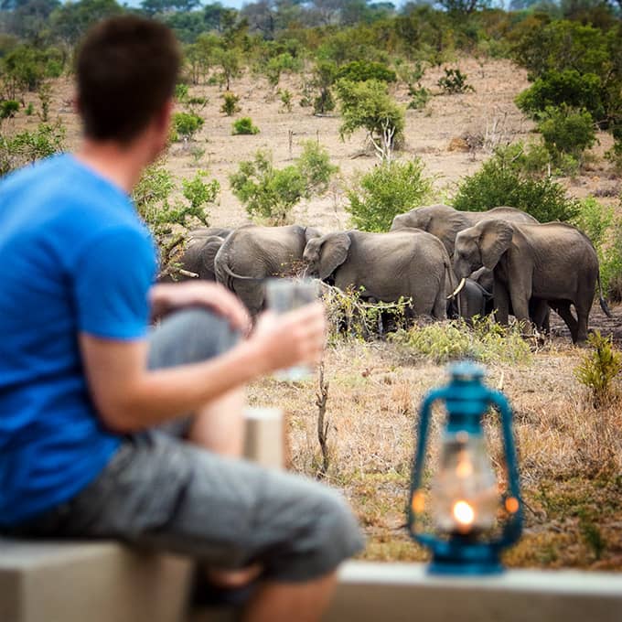 View Buffelshoek Camp in Manyeleti Game Reserve