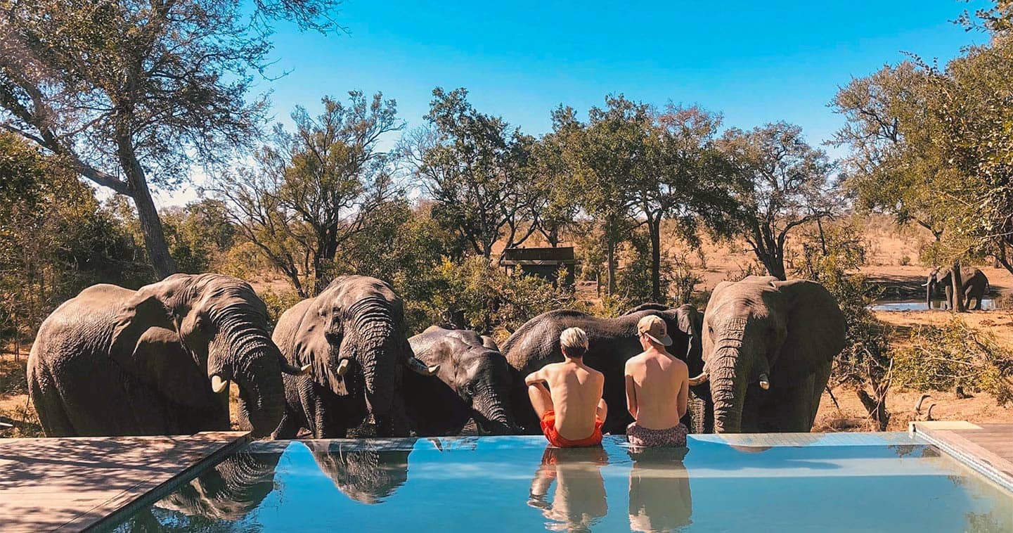 The swimming pool at Honeyguide Tented Camps in South Africa