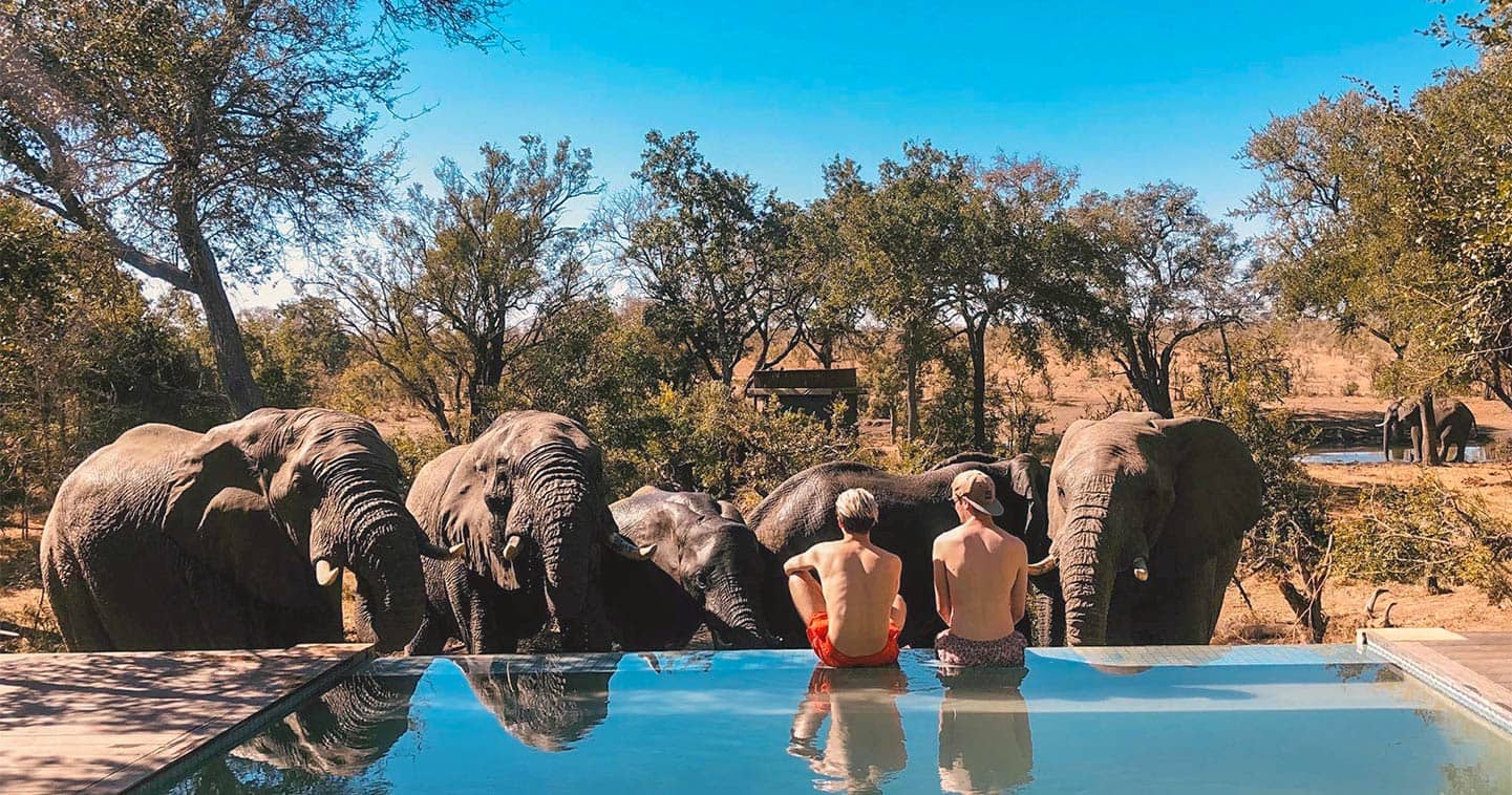 south african safari camps