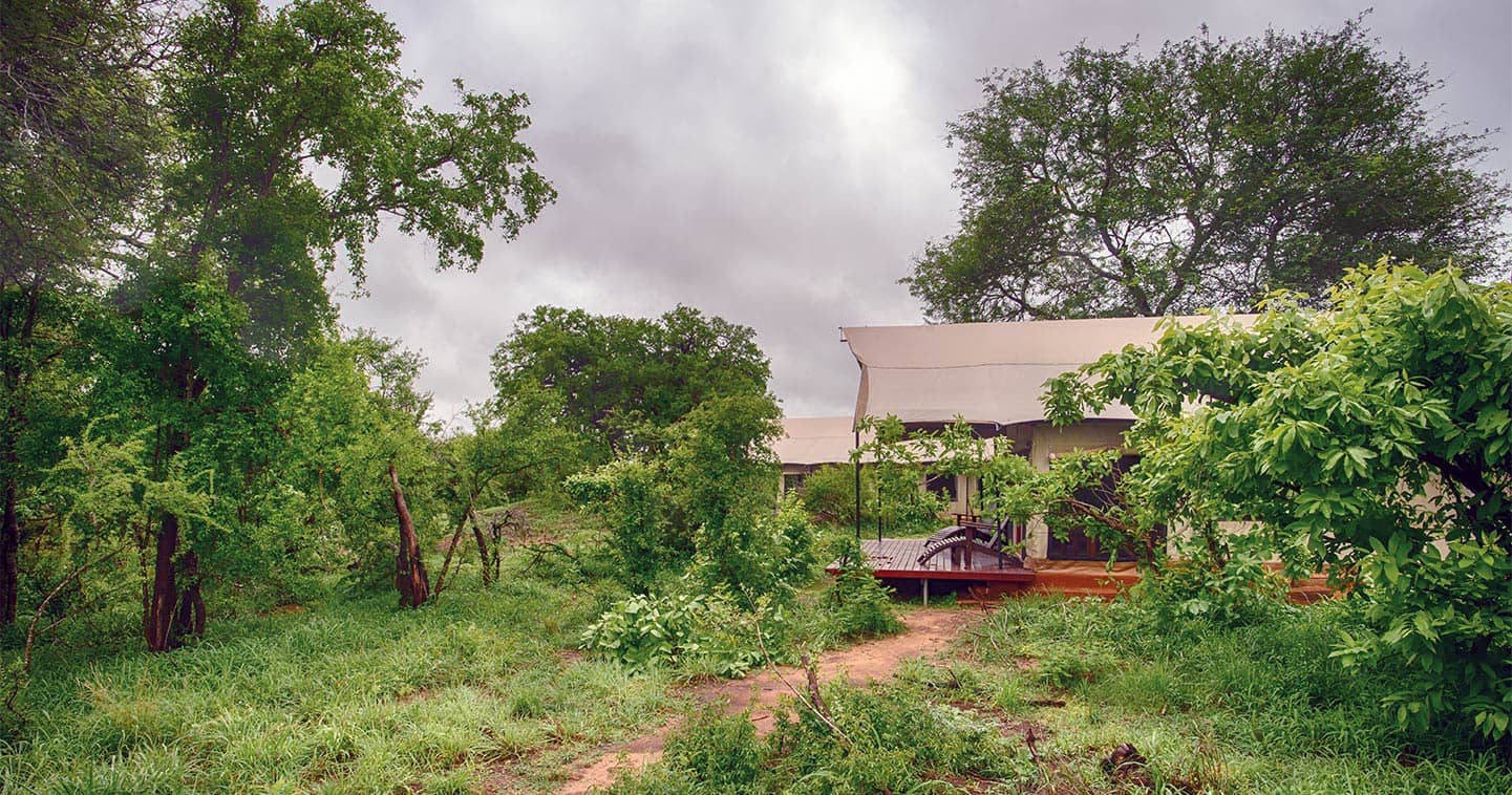 Manyeleti Honeyguide Tented Camp