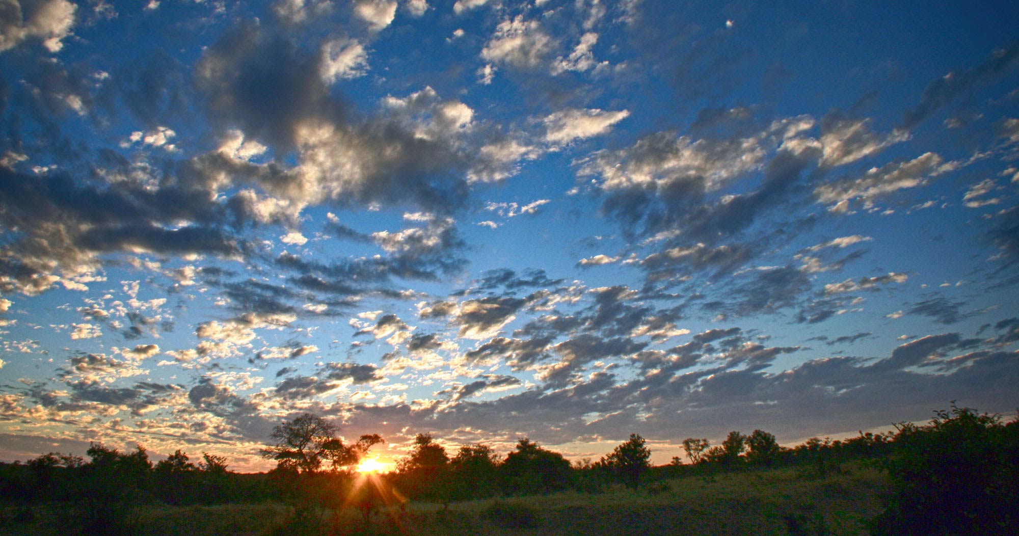 Kruger private game reserve in South Africa