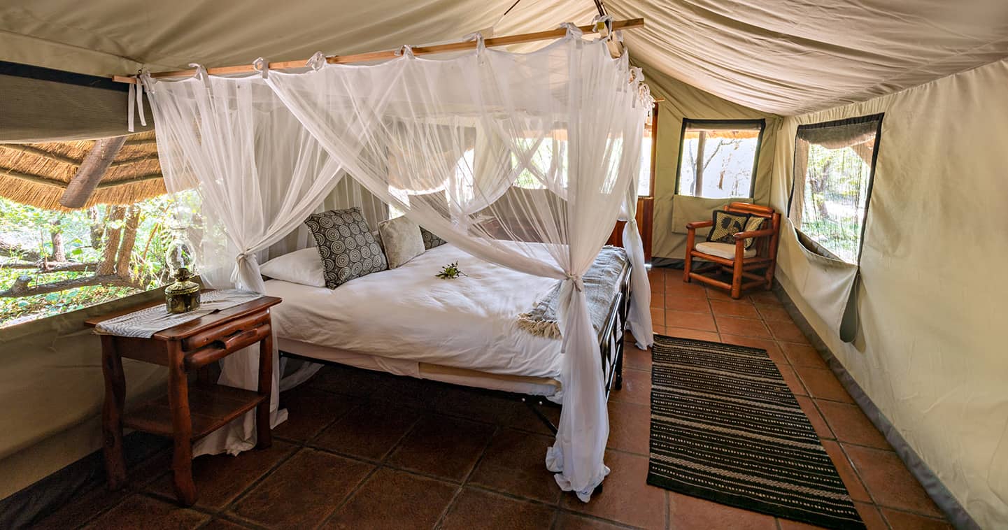 Pungwe Safari Camp in Manyeleti Game Reserve