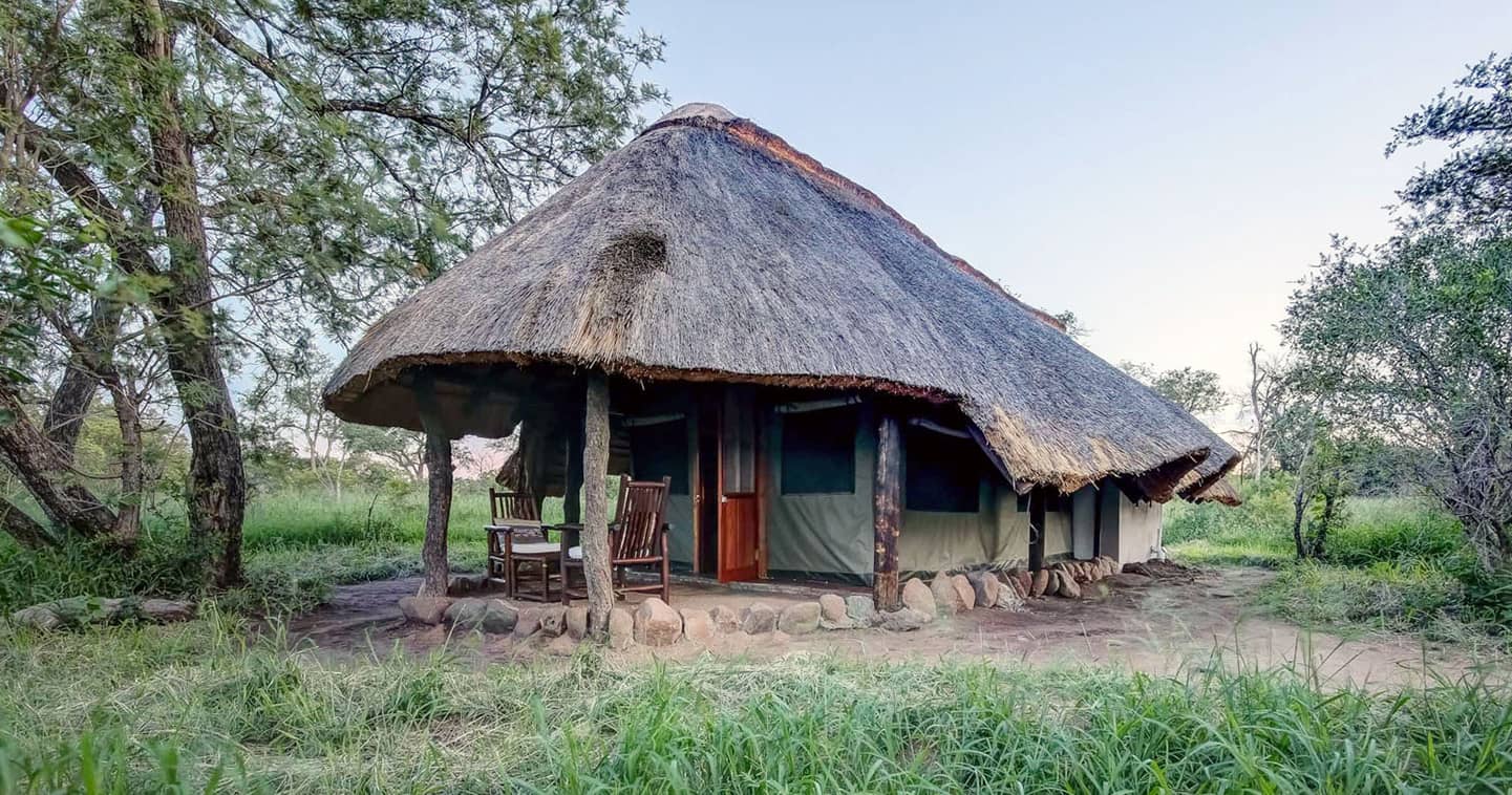 Pungwe Safari Camp in the Manyeleti, South Africa