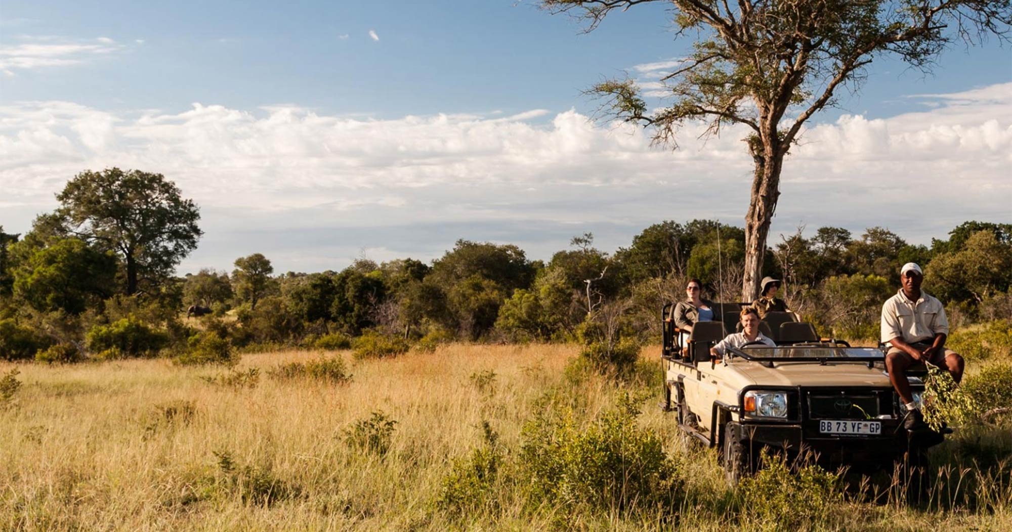 Game drive at Tintswalo Manor House in Manyeleti